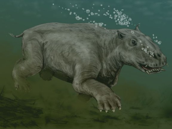 Paleoparadoxia tabatai - Prehistoric Animals