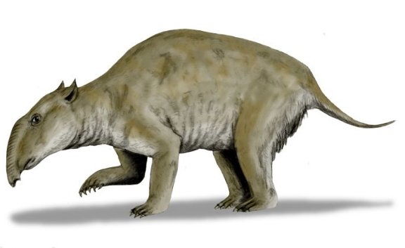 Palorchestes azael - Prehistoric Animals