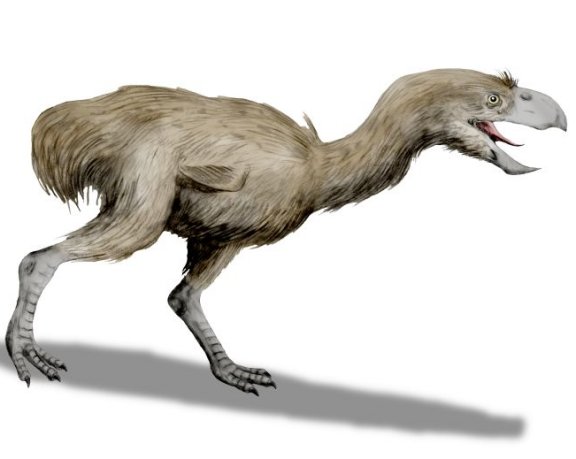 Paraphysornis brasiliensis - Prehistoric Animals