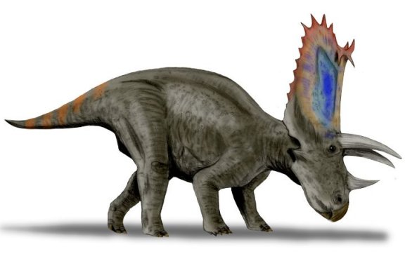 Pentaceratops sternbergi - Prehistoric Animals