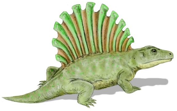 Platyhystrix rugosus - Prehistoric Animals
