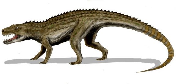 Postosuchus kirkpatricki - Prehistoric Animals