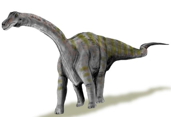 Rapetosaurus krausei - Prehistoric Animals