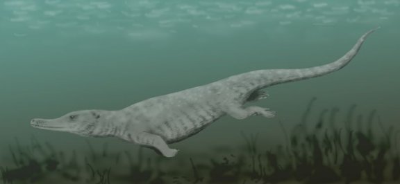 Remingtonocetus harudiniensis - Prehistoric Animals