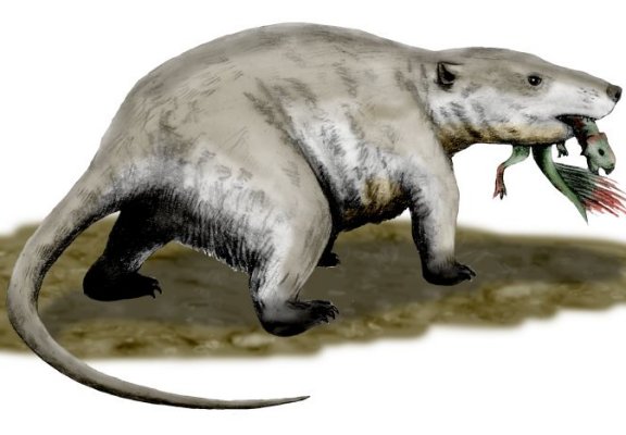 Repenomamus giganticus - Prehistoric Animals