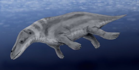 Rhodocetus kasrani - Prehistoric Animals