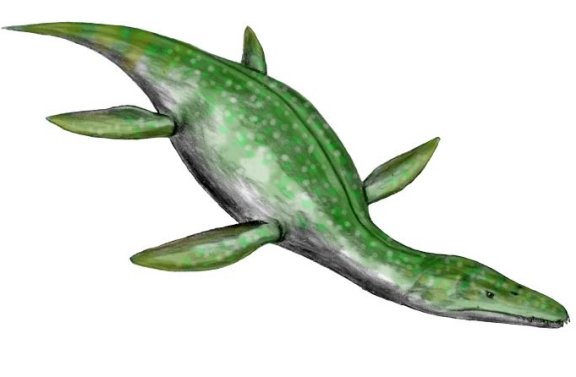 Rhomaleosaurus megacephalus - Prehistoric Animals