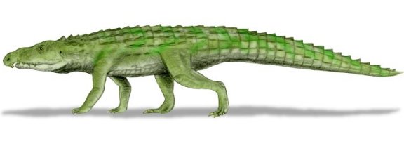 Riojasuchus tenuiceps - Prehistoric Animals