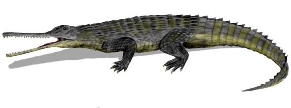 Rutiodon carolinensis - Prehistoric Animals