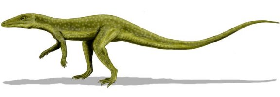 Saltoposuchus connectens - Prehistoric Animals