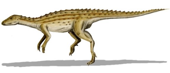 Scutellosaurus lawleri - Prehistoric Animals