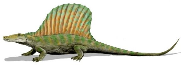 Secodontosaurus obtusidens - Prehistoric Animals
