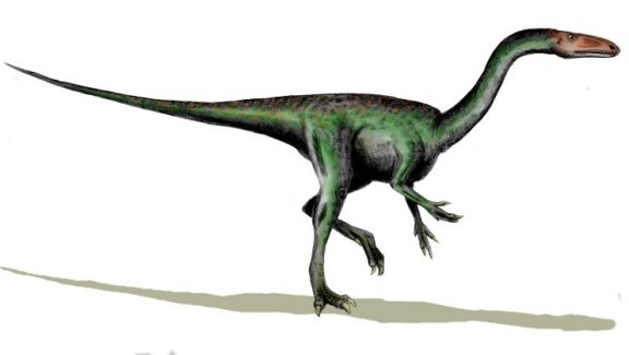 Segisaurus halli - Prehistoric Animals