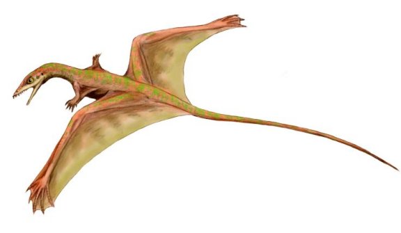 Sharovipteryx mirabilis - Prehistoric Animals