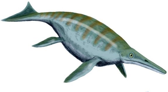 Shonisaurus popularis - Prehistoric Animals