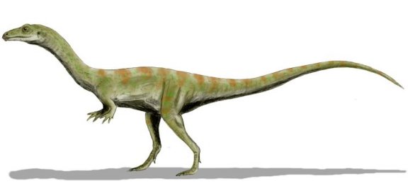 Shuvosaurus inexpectatus - Prehistoric Animals