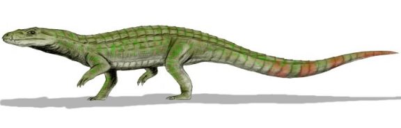 Sichuanosuchus huidongensis - Prehistoric Animals
