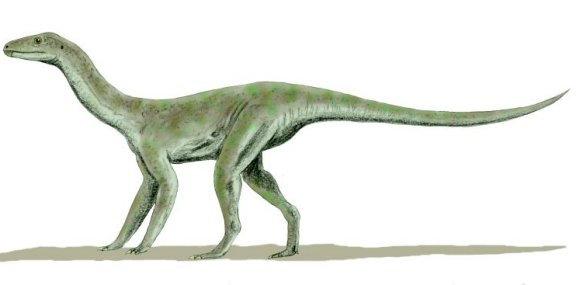 Silesaurus opolensis - Prehistoric Animals