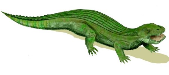 Simosuchus clarki - Prehistoric Animals