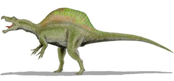 Spinosaurus aegyptiacus - Prehistoric Animals