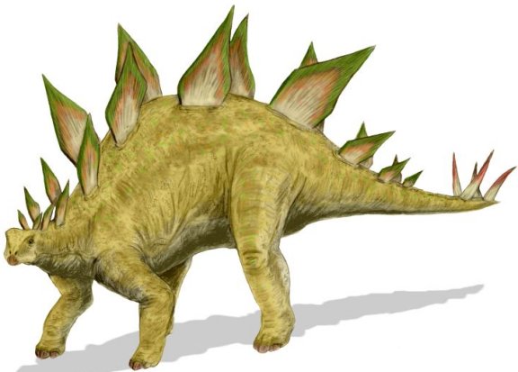 Stegosaurus stenops - Prehistoric Animals