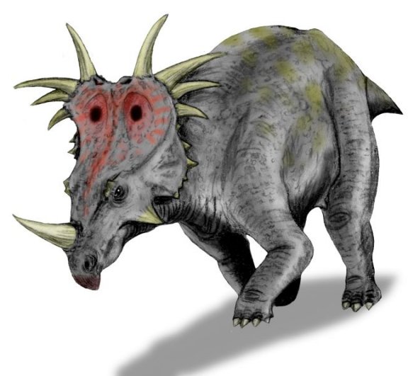 Styracosaurus albertensis - Prehistoric Animals