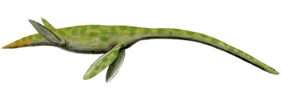 Styxosaurus snowi - Prehistoric Animals