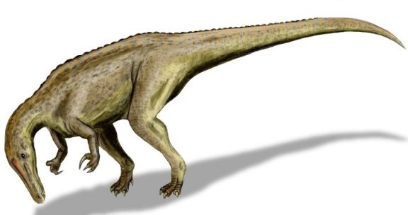 Suchomimus tenerensis - Prehistoric Animals