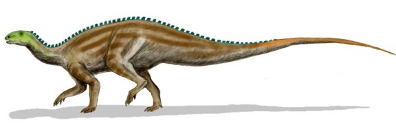 Tenontosaurus tilletti - Prehistoric Animals