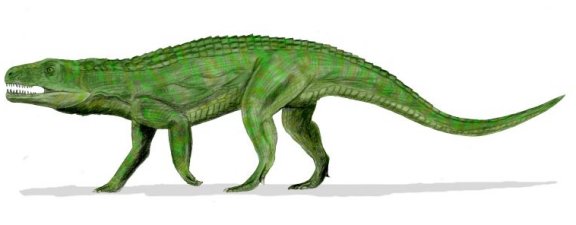 Teratosaurus suevicus - Prehistoric Animals