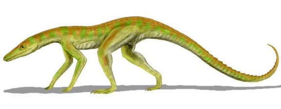 Terrestrisuchus gracilis - Prehistoric Animals