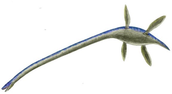 Thalassomedon haningtoni - Prehistoric Animals