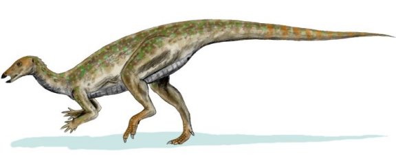 Thescelosaurus neglectus - Prehistoric Animals