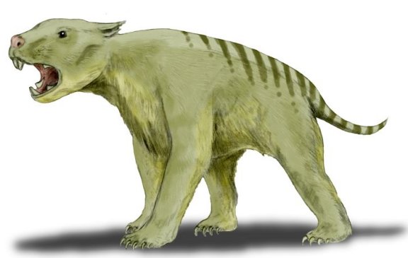 Thylacoleo carnifex - Prehistoric Animals