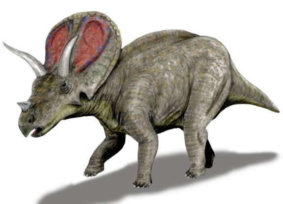 Torosaurus latus - Prehistoric Animals