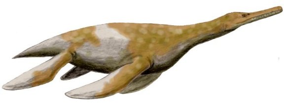 Trinacromerum bentonianum - Prehistoric Animals