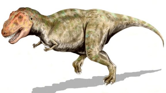 Tyrannosaurus rex - Prehistoric Animals
