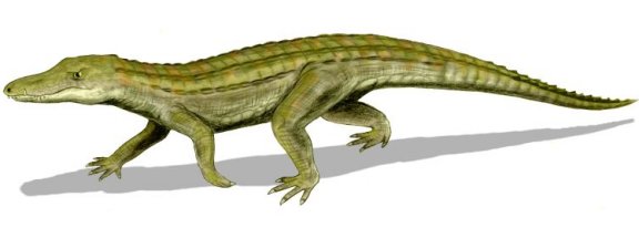 Uberabasuchus terrificus - Prehistoric Animals