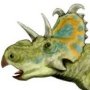 Albertaceratops nesmo