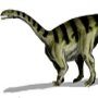 Sellosaurus gracilis