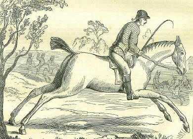 Cowper's Horse ride