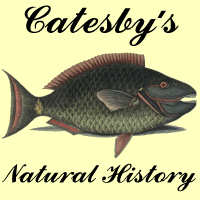 logo for Mark Catesby's Natural History Of Carolina,
Florida and the Bahama Islands