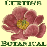 logo for Curtis's Botanical Magazine section