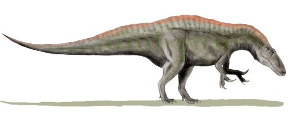 Acrocanthosaurus atokensis - Prehistoric Animals
