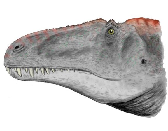 Acrocanthosaurus head - Prehistoric Animals