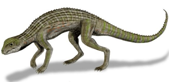 Adamantinasuchus navae - Prehistoric Animals