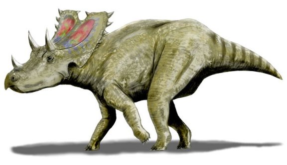 Agujaceratops mariscalensis - Prehistoric Animals