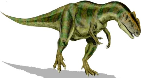Allosaurus fragilis - Prehistoric Animals