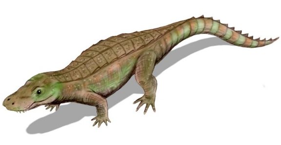 Anatosuchus minor - Prehistoric Animals