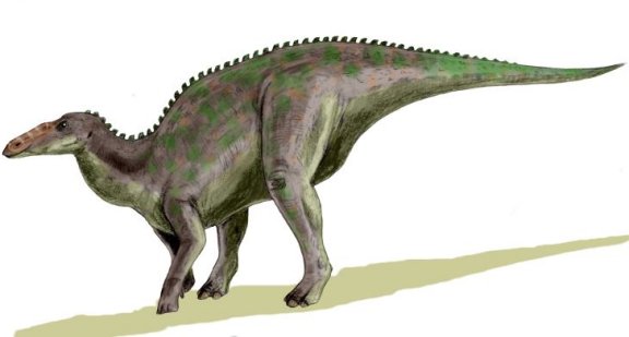 Anatotitan copei - Prehistoric Animals